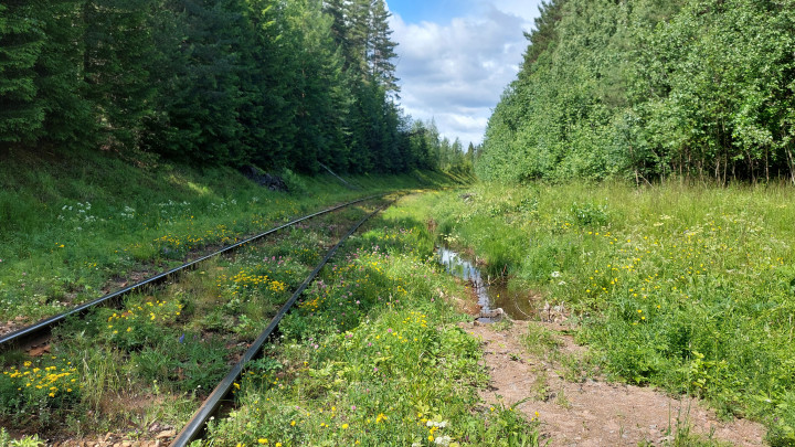 Ett par järnvägsspår från västerdalsbanan slingrar sig genom en grönskande skog med höga träd och vildblommor. Till höger om spåren syns en lerig stig med vattenpölar, vilket tyder på nyligt regn. Himlen är delvis molnig med inslag av blått, och hela scenen utstrålar lugn och stillhet i en avlägsen, naturnära miljö
